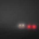 Fog, Overcast